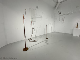 Exposición Peces de Ciudad-Blas Miras